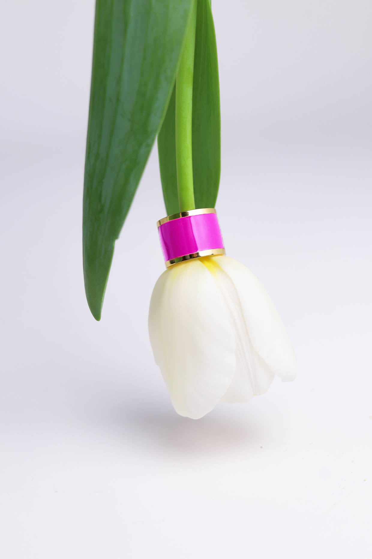 ANELLO MONO