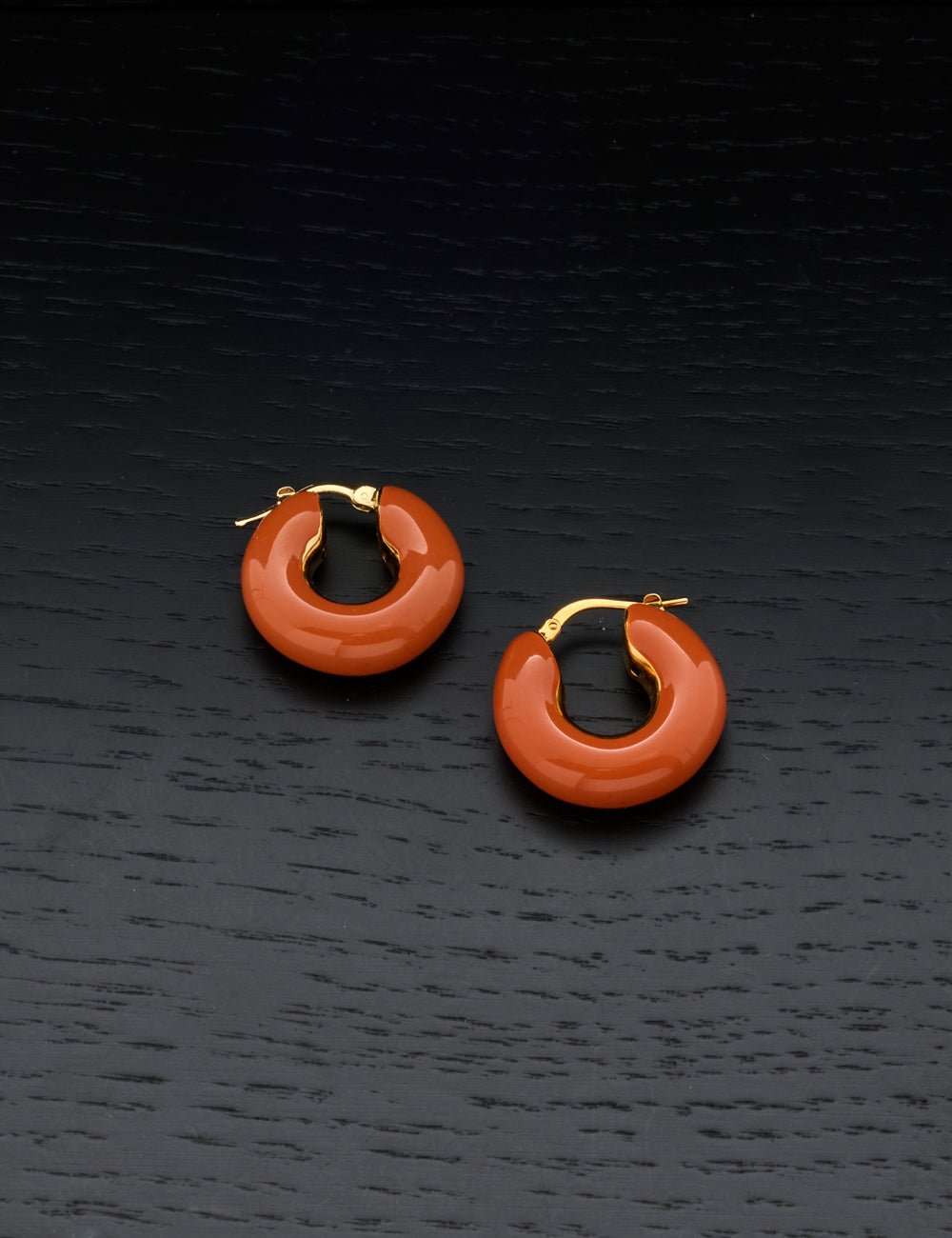 ORECCHINI CERCHIO COLETTE MINI